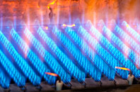 Horner gas fired boilers